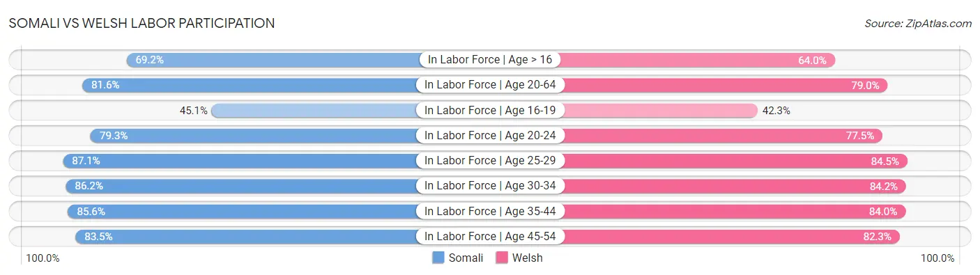 Somali vs Welsh Labor Participation