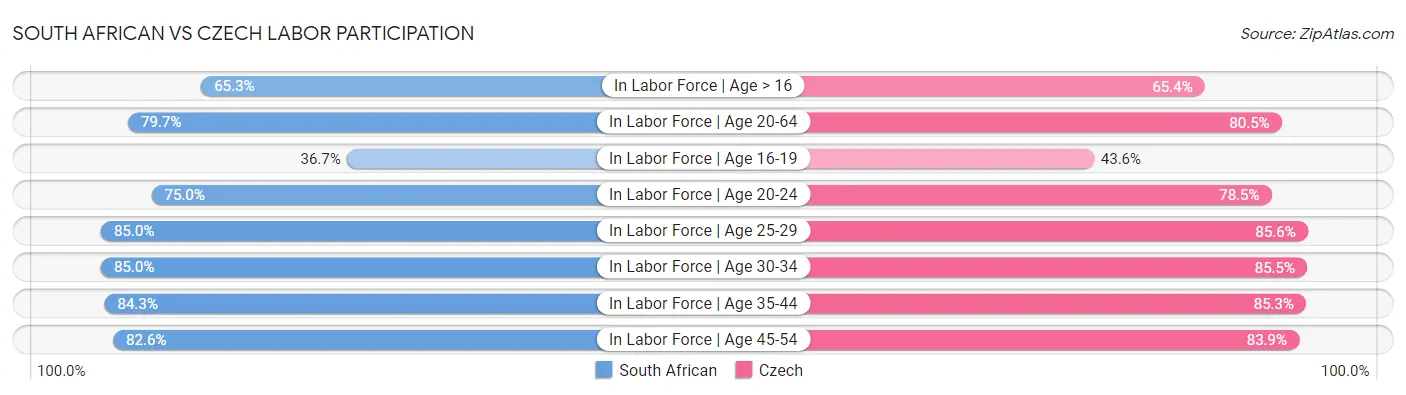 South African vs Czech Labor Participation