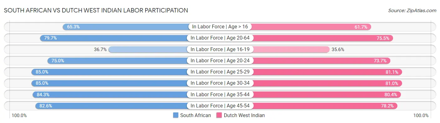 South African vs Dutch West Indian Labor Participation