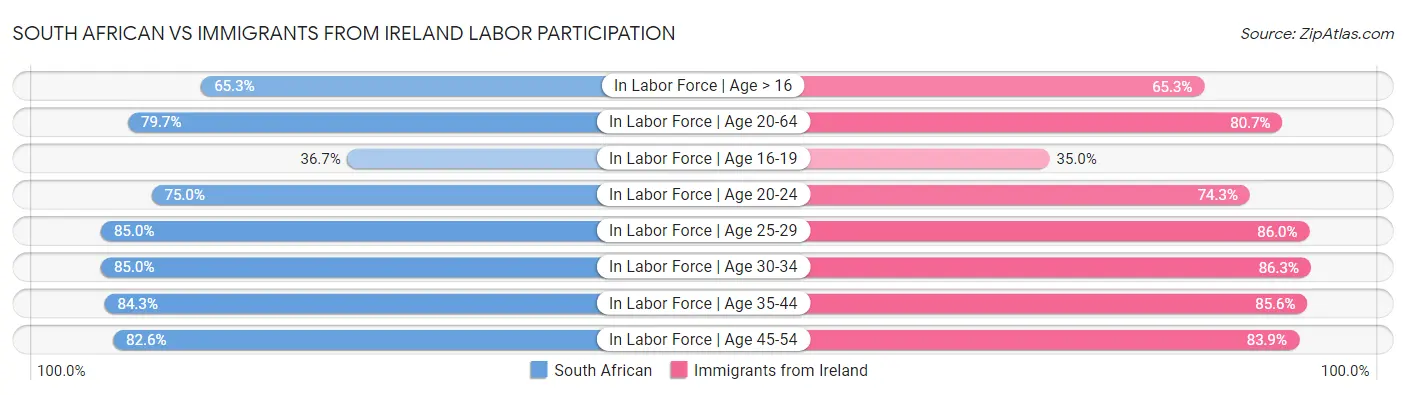 South African vs Immigrants from Ireland Labor Participation