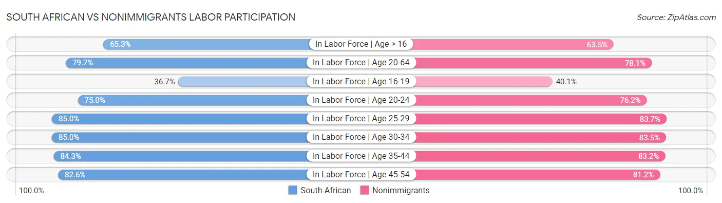 South African vs Nonimmigrants Labor Participation