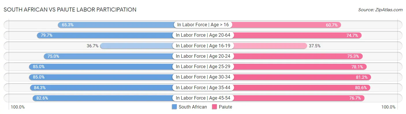 South African vs Paiute Labor Participation