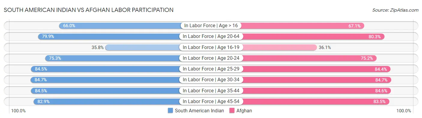 South American Indian vs Afghan Labor Participation