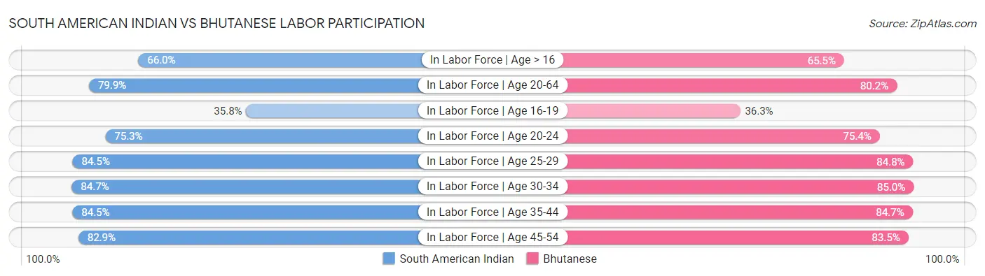 South American Indian vs Bhutanese Labor Participation