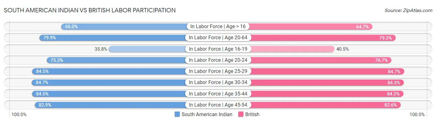 South American Indian vs British Labor Participation
