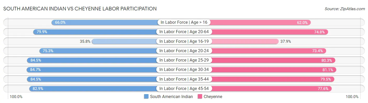 South American Indian vs Cheyenne Labor Participation