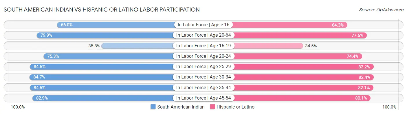 South American Indian vs Hispanic or Latino Labor Participation