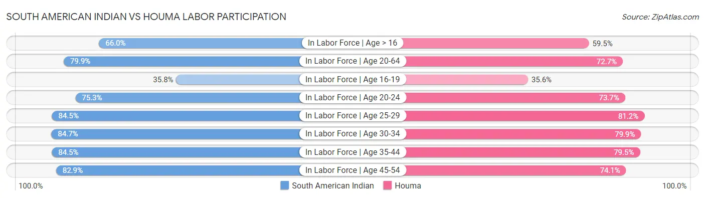 South American Indian vs Houma Labor Participation