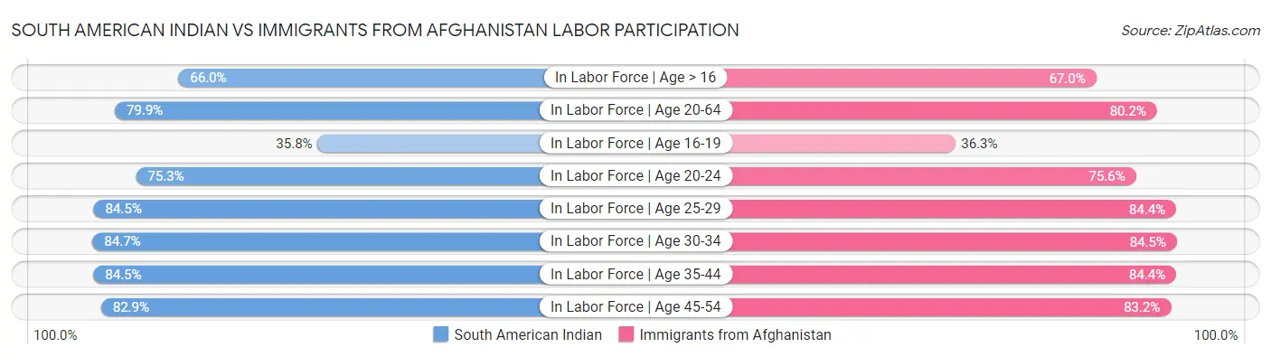 South American Indian vs Immigrants from Afghanistan Labor Participation