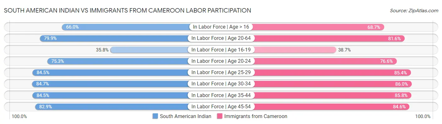 South American Indian vs Immigrants from Cameroon Labor Participation