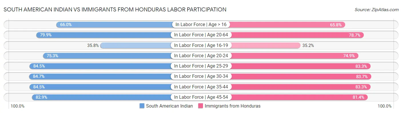 South American Indian vs Immigrants from Honduras Labor Participation