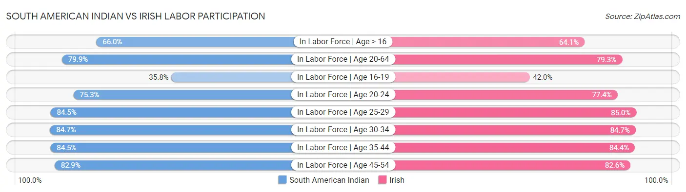 South American Indian vs Irish Labor Participation