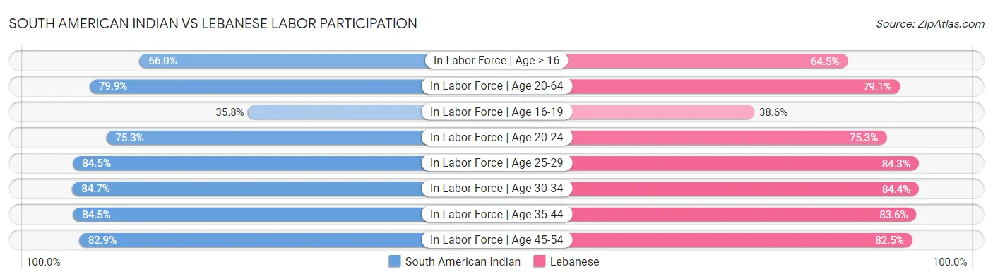 South American Indian vs Lebanese Labor Participation