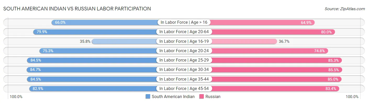 South American Indian vs Russian Labor Participation