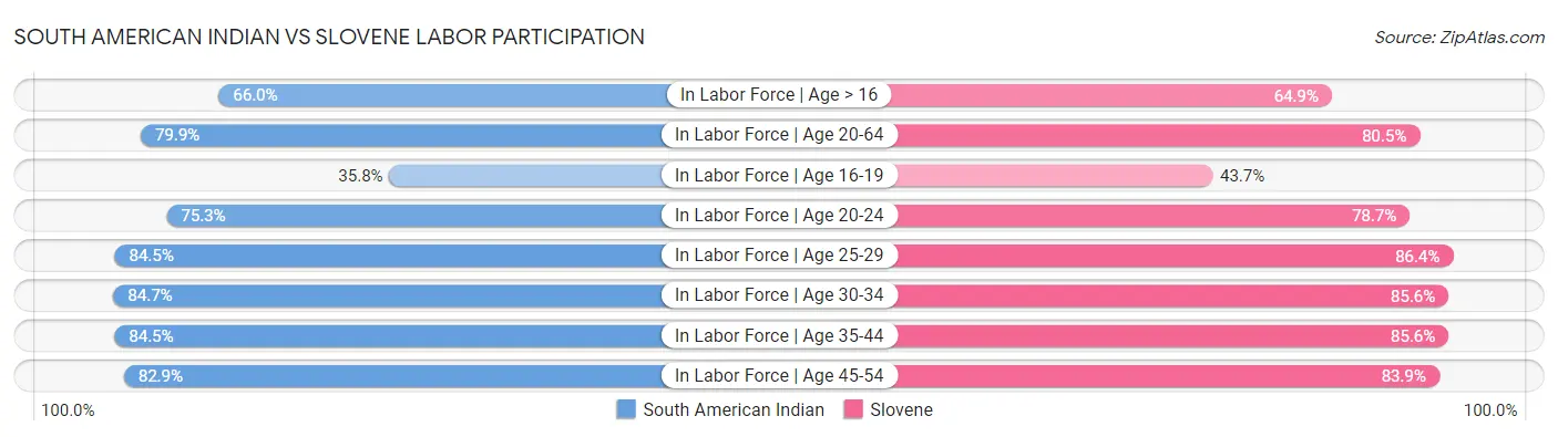 South American Indian vs Slovene Labor Participation
