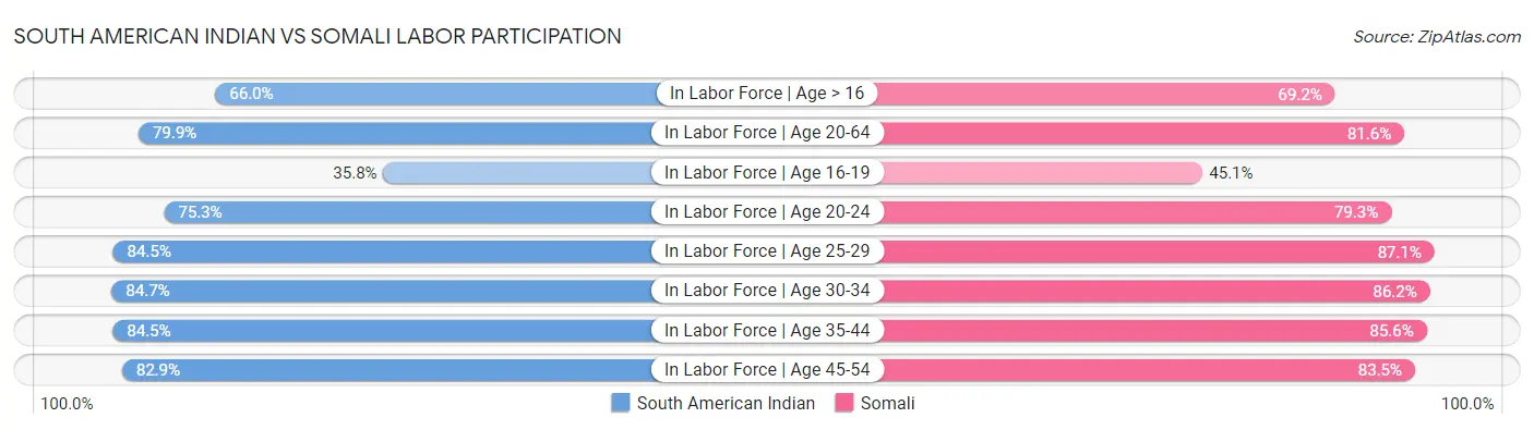 South American Indian vs Somali Labor Participation