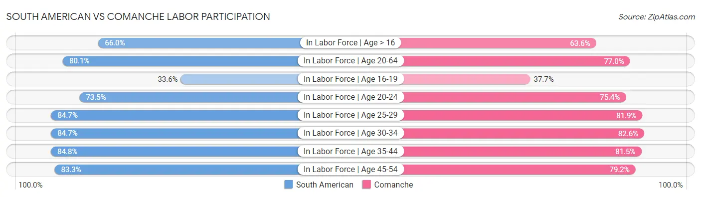 South American vs Comanche Labor Participation