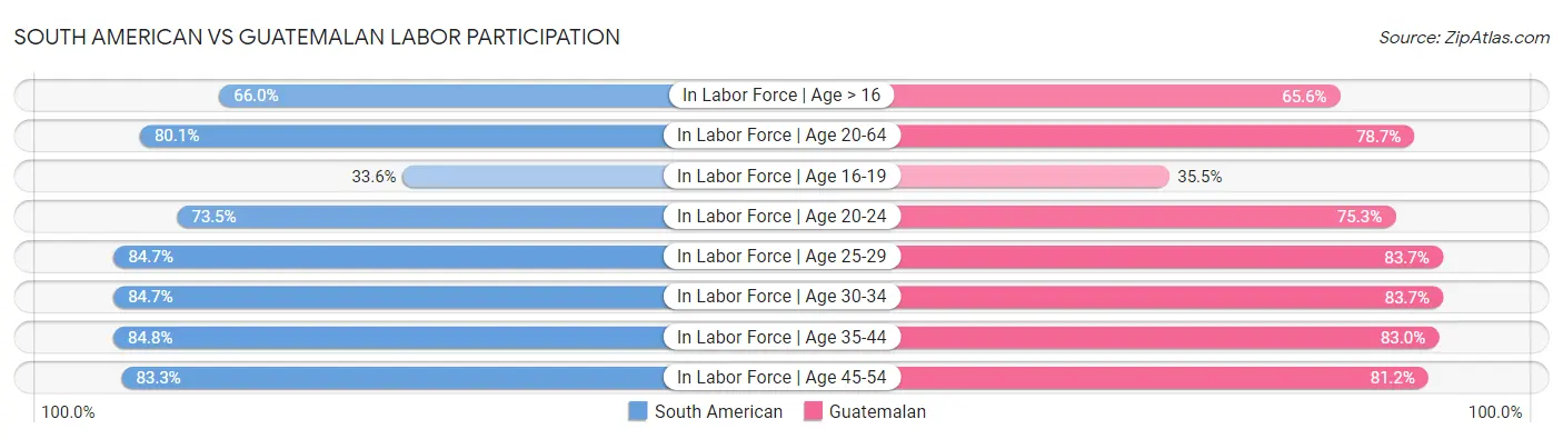 South American vs Guatemalan Labor Participation