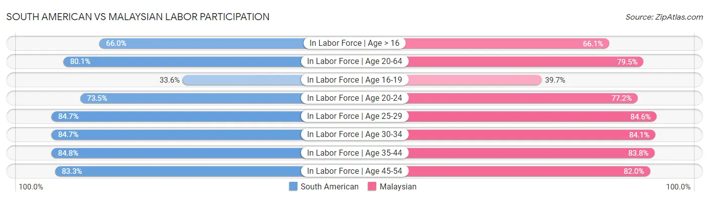 South American vs Malaysian Labor Participation