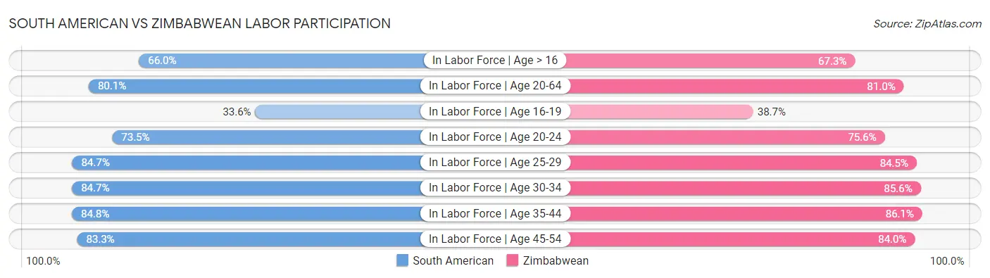 South American vs Zimbabwean Labor Participation