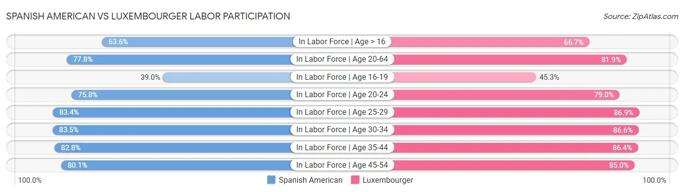 Spanish American vs Luxembourger Labor Participation