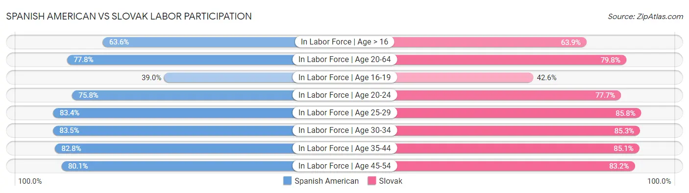 Spanish American vs Slovak Labor Participation