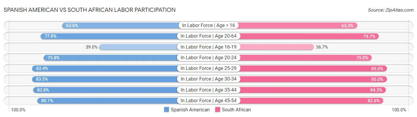 Spanish American vs South African Labor Participation