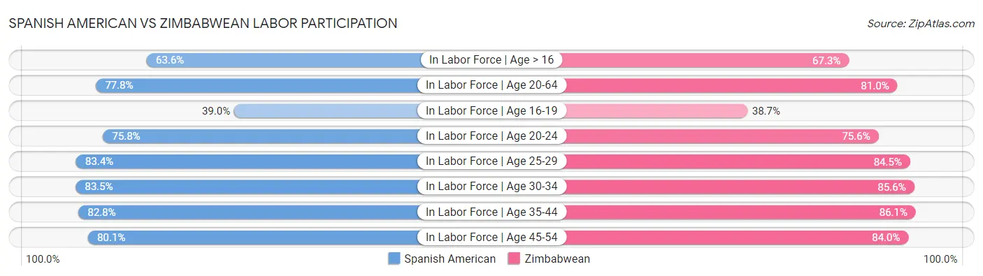 Spanish American vs Zimbabwean Labor Participation