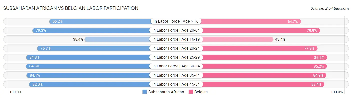 Subsaharan African vs Belgian Labor Participation