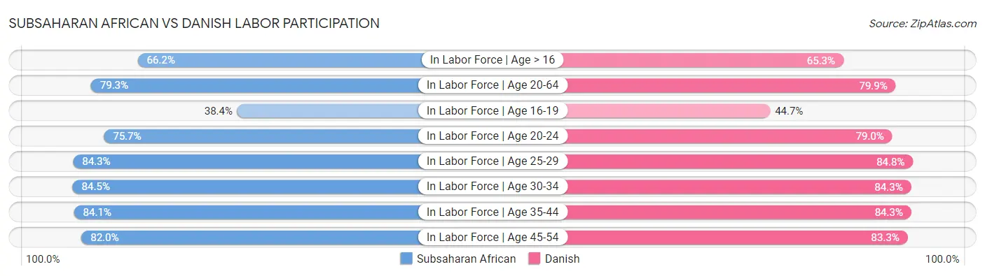 Subsaharan African vs Danish Labor Participation