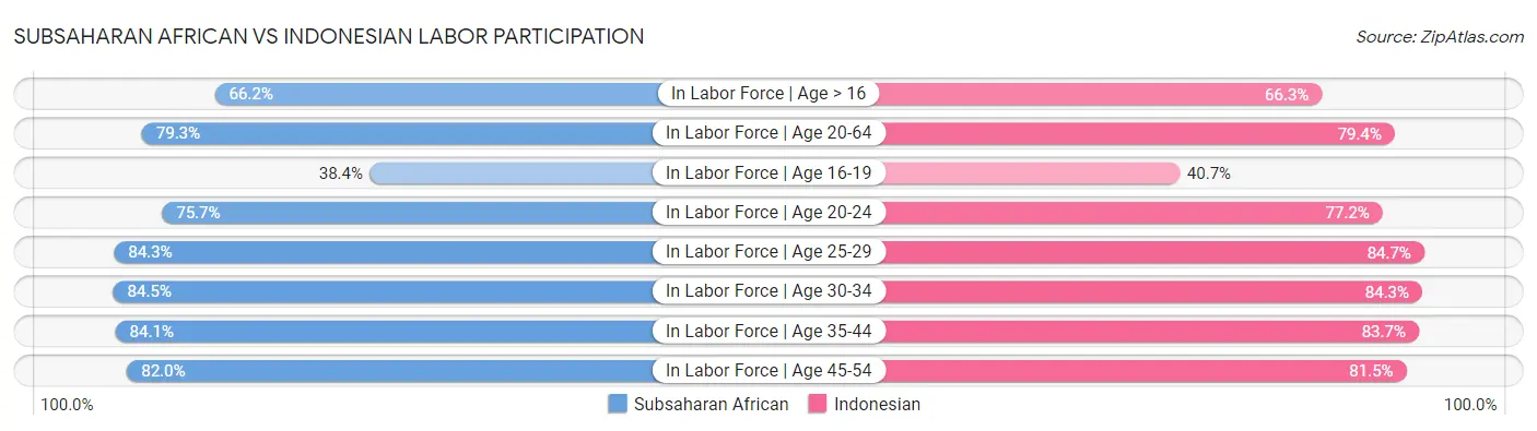 Subsaharan African vs Indonesian Labor Participation