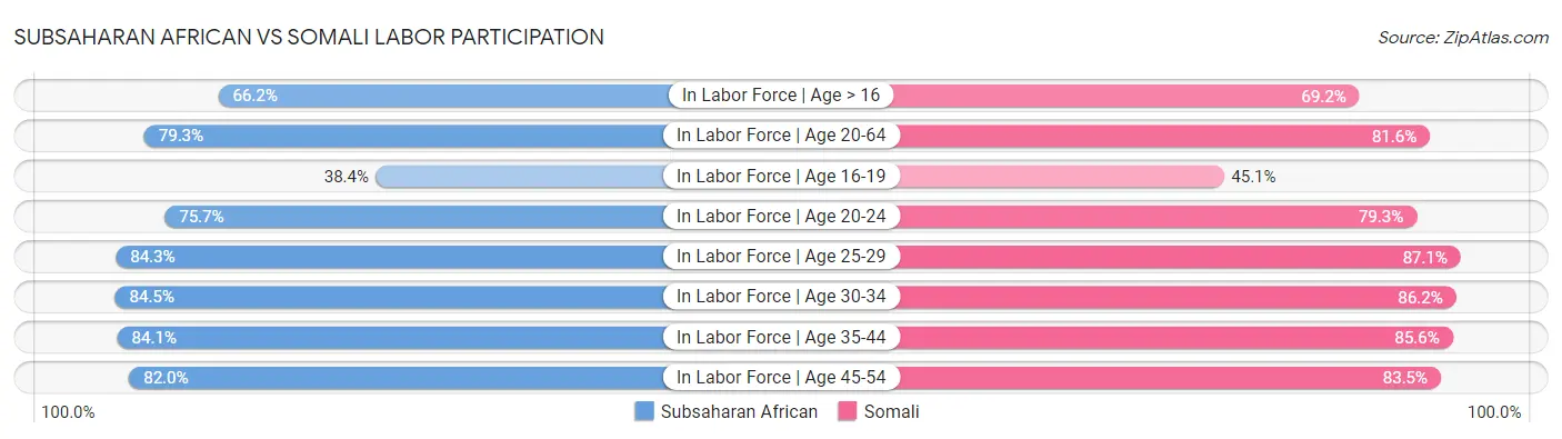 Subsaharan African vs Somali Labor Participation