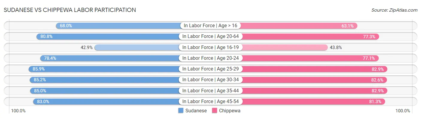 Sudanese vs Chippewa Labor Participation