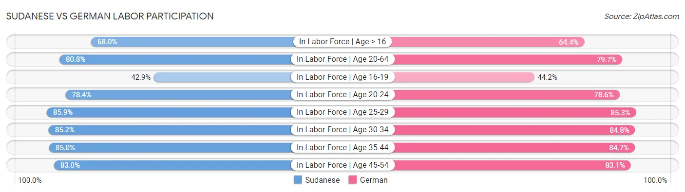 Sudanese vs German Labor Participation