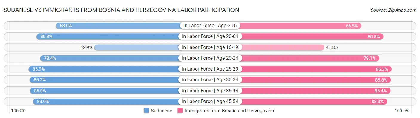 Sudanese vs Immigrants from Bosnia and Herzegovina Labor Participation