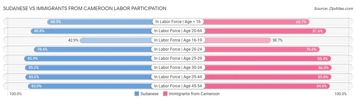 Sudanese vs Immigrants from Cameroon Labor Participation
