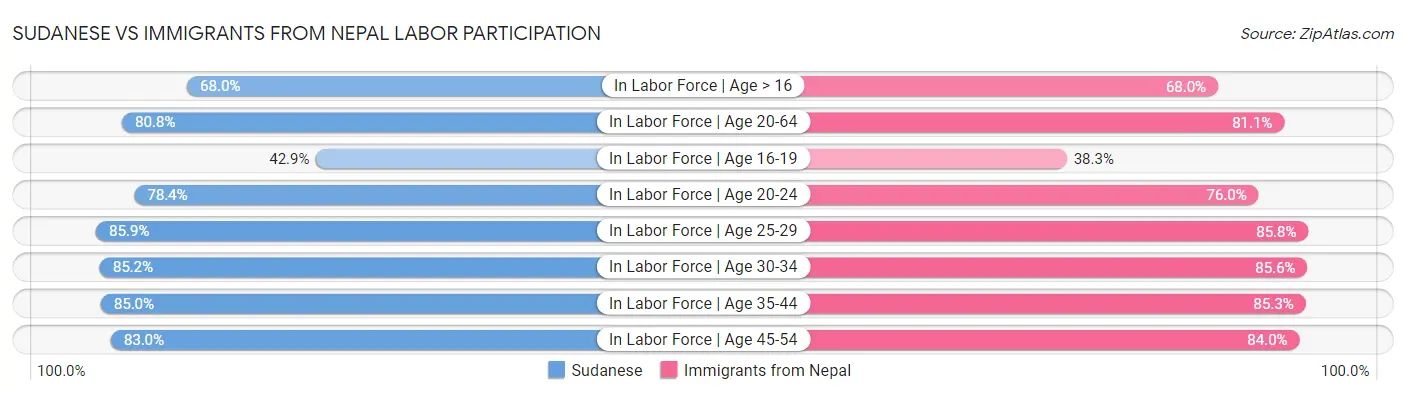 Sudanese vs Immigrants from Nepal Labor Participation