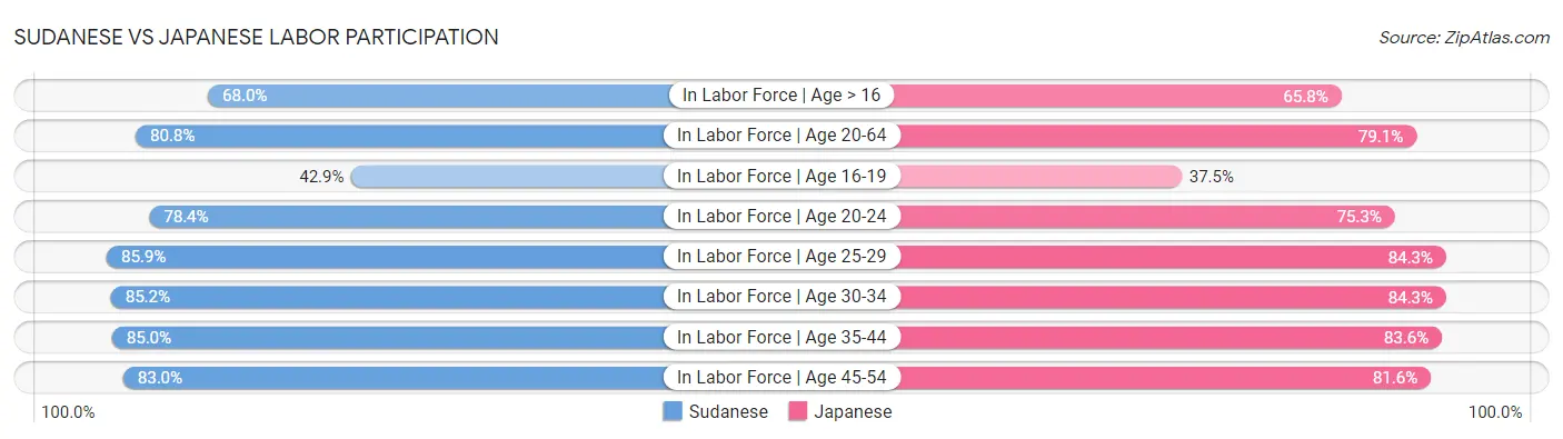 Sudanese vs Japanese Labor Participation