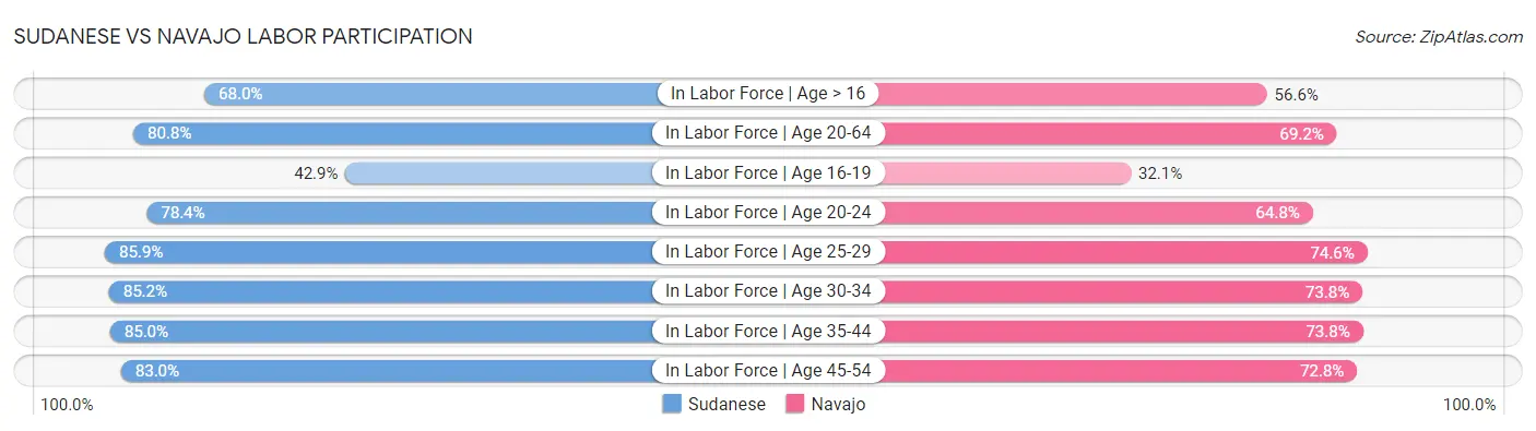 Sudanese vs Navajo Labor Participation