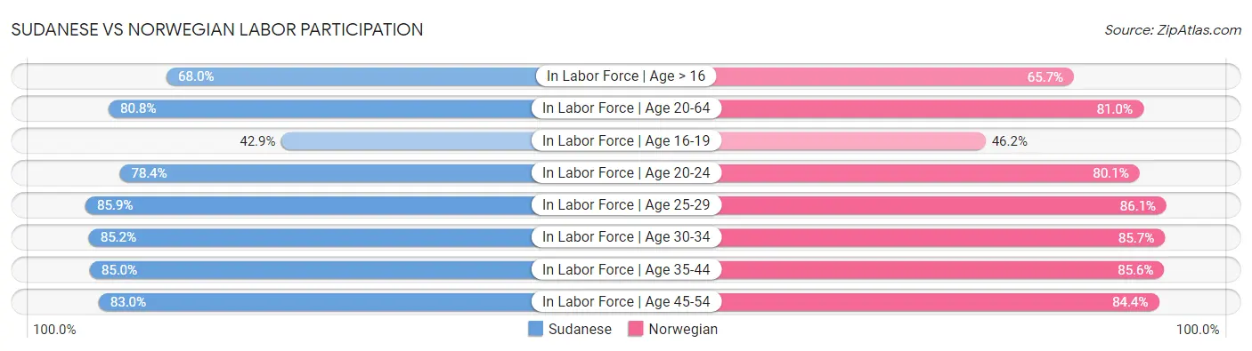 Sudanese vs Norwegian Labor Participation