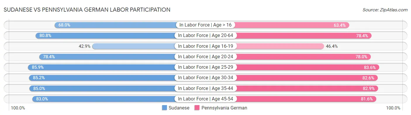 Sudanese vs Pennsylvania German Labor Participation