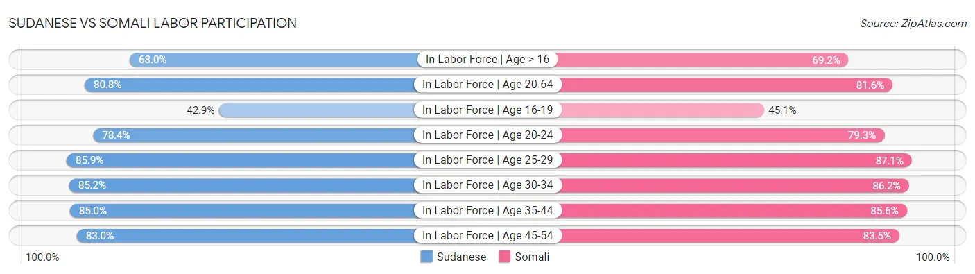 Sudanese vs Somali Labor Participation