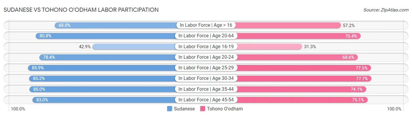 Sudanese vs Tohono O'odham Labor Participation