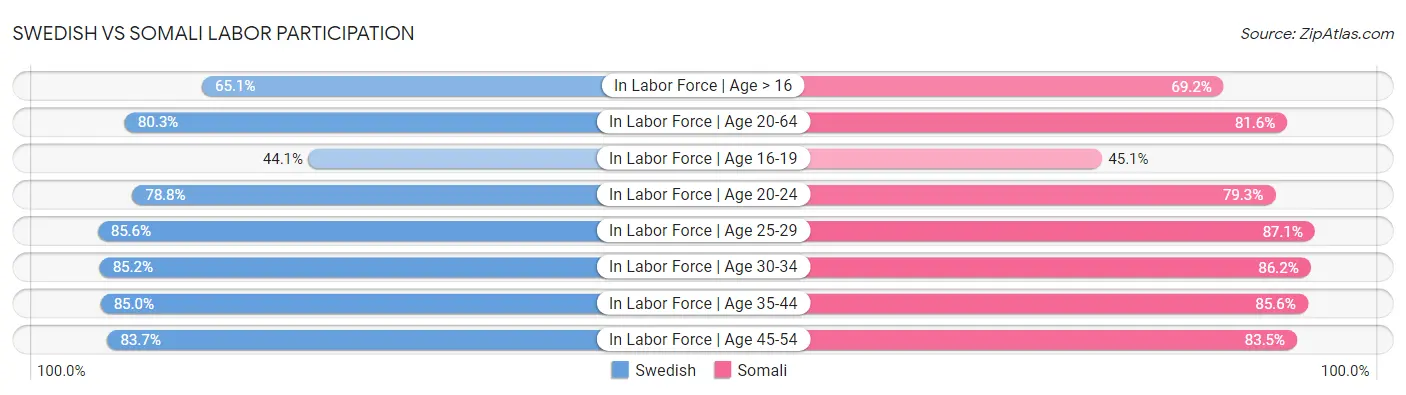 Swedish vs Somali Labor Participation