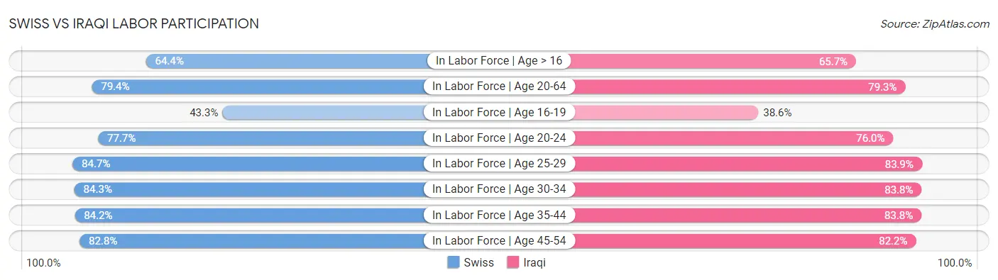 Swiss vs Iraqi Labor Participation