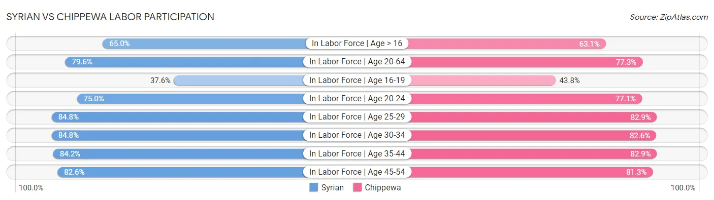 Syrian vs Chippewa Labor Participation