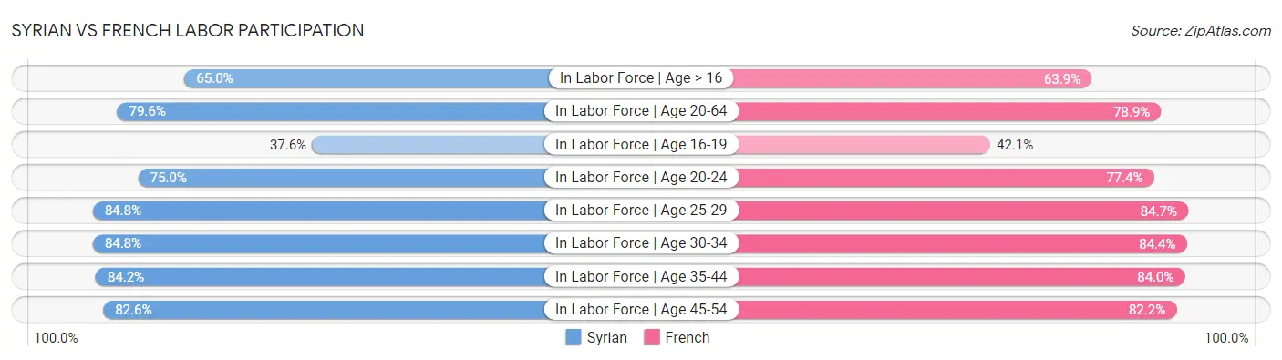 Syrian vs French Labor Participation