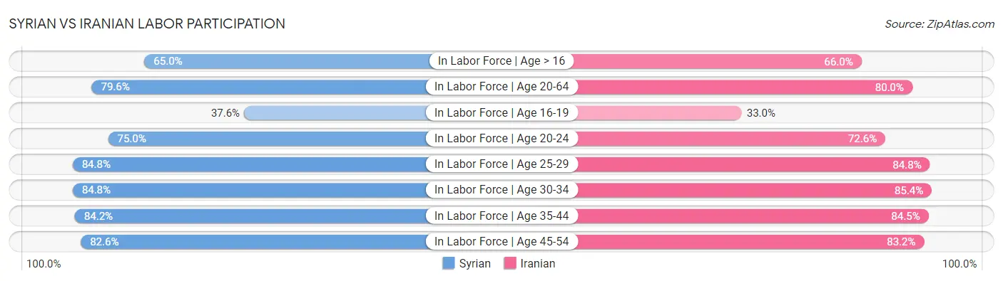 Syrian vs Iranian Labor Participation