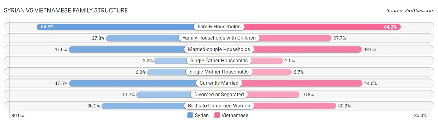 Syrian vs Vietnamese Family Structure