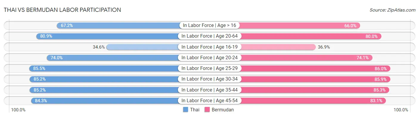 Thai vs Bermudan Labor Participation